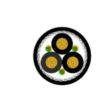 2025-02-27_16-48-56.png