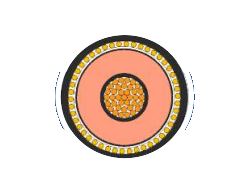 2025-02-27_19-50-29.png 2025-02-27_19-50-29.png