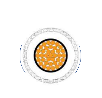 2025-02-28_15-14-28.png 2025-02-28_15-14-28.png