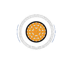 2025-02-28_15-13-51.png 2025-02-28_15-13-51.png
