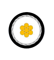 2025-02-28_15-34-55.png