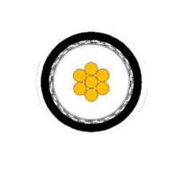 2025-02-28_15-36-40.png 2025-02-28_15-36-40.png