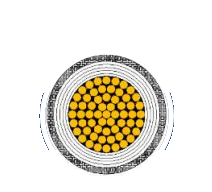 2025-02-28_15-17-34.png 2025-02-28_15-17-34.png
