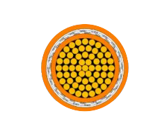 2025-02-28_15-27-56.png