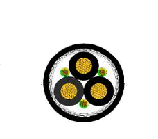 2025-02-27_16-48-48.png 2025-02-27_16-48-48.png