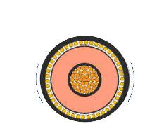 2025-02-27_19-51-19.png 2025-02-27_19-51-19.png