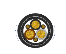 2025-02-27_19-49-11.png 2025-02-27_19-49-11.png