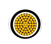 2025-02-27_19-49-27.png