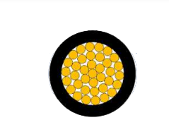 2025-02-26_19-56-54.png