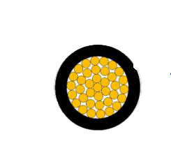 2025-02-26_19-57-11.png