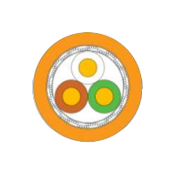 2025-02-28_14-19-38.png