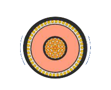2025-02-27_19-50-20.png 2025-02-27_19-50-20.png