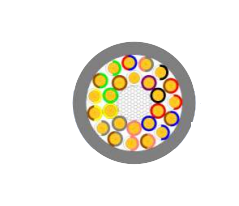 2025-02-27_16-38-37.png 2025-02-27_16-38-37.png