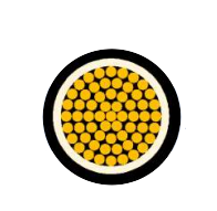 2025-02-27_19-48-18.png 2025-02-27_19-48-18.png