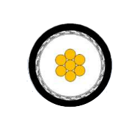 2025-02-28_15-34-38.png