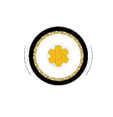 2025-02-28_15-36-16.png 2025-02-28_15-36-16.png