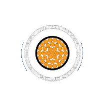 2025-02-28_15-14-22.png 2025-02-28_15-14-22.png