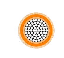 2025-02-28_15-27-43.png 2025-02-28_15-27-43.png