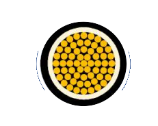 2025-02-27_19-49-44.png 2025-02-27_19-49-44.png