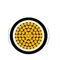 2025-02-27_19-49-36.png 2025-02-27_19-49-36.png