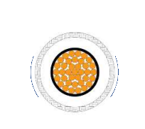 2025-02-28_15-13-23.png 2025-02-28_15-13-23.png